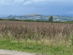 Glastonbury Tor View.